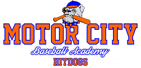 Motor City Hit Dogs